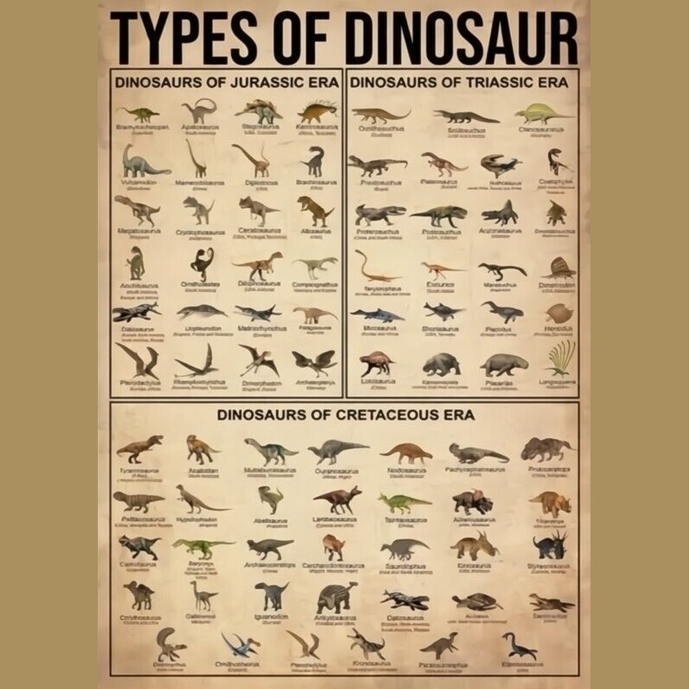 Types Of Dinosaur Canvas Art Print 16" X 20" New! Art:Art Prints Style Your Walls